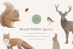 British Wildlife Species Set - PNGs