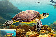 Tritone Oil Painting Ps Action, an Action Add-On by Studio Retouch (Thumbnail 12 of 13)