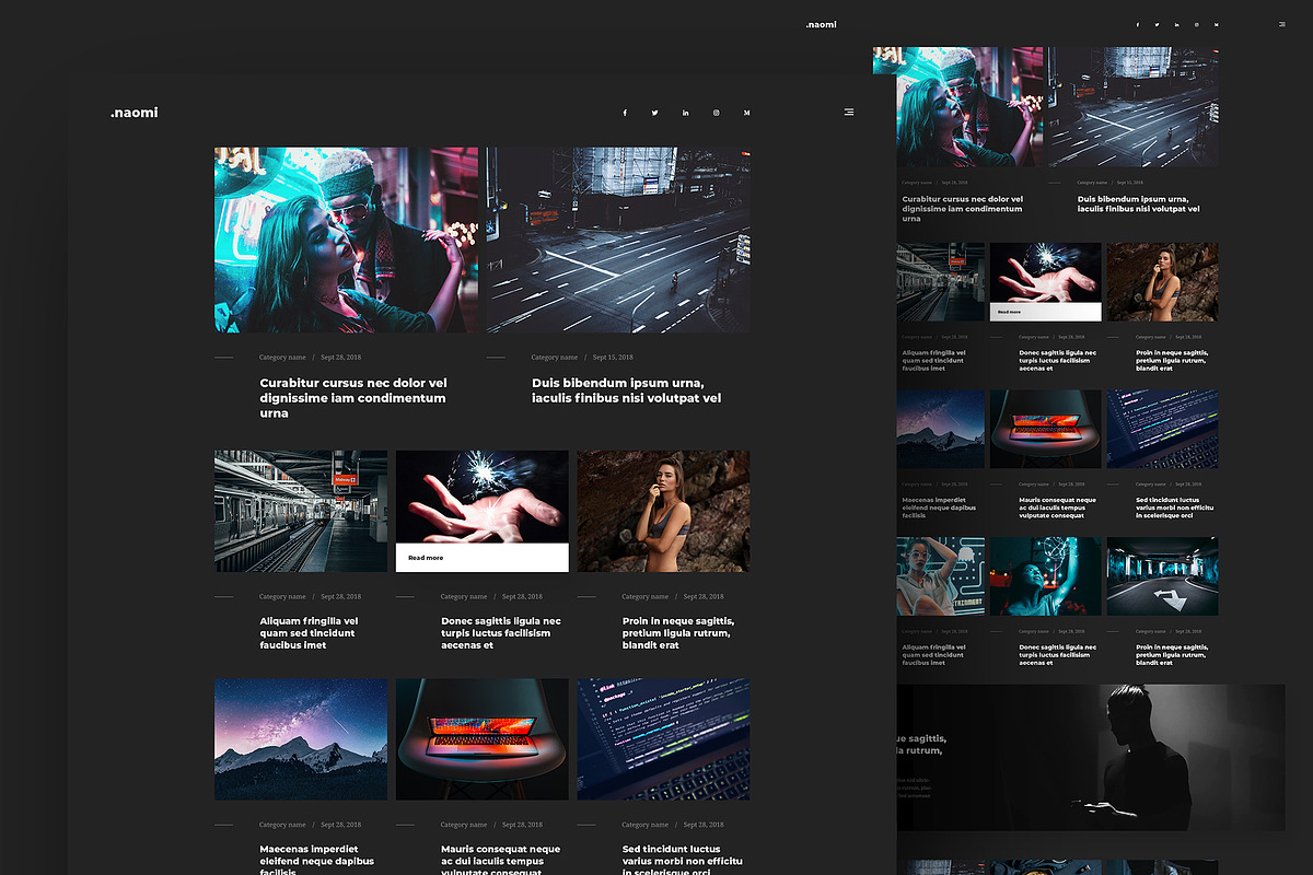 Naomi Dark - Blog & Portfolio PSD, a Websites & App Template by FreshPixels (Photo 2 of 9)