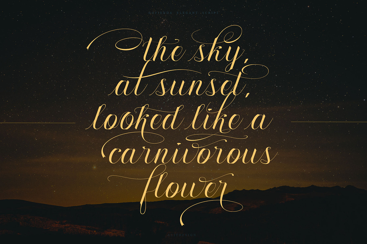 Gofienda, a Script Font by alit design (Photo 8 of 17)