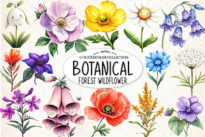 Botanical Forest Wildflower PNG, an Illustration by Watercolor design