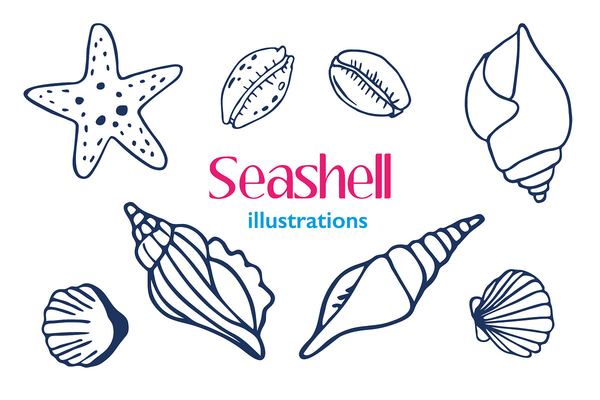 Seashell Illustrations, a Texture Illustration by Annakaroline