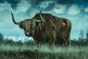 300 Professional Lightroom Presets, an Action Add-On by Madison Colt Studios (Thumbnail 27 of 29)