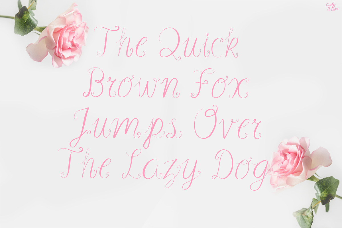 Dear Heart | Script Font, a Script Font by LivelyAutumn11.11 (Photo 4 of 5)