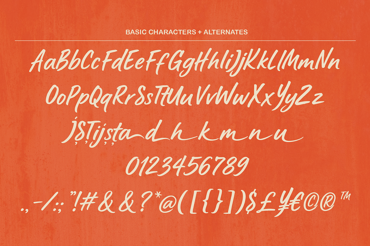 Rustline Bold Handwritten Script, a Handwritten Font by Namela Studio (Photo 8 of 8)