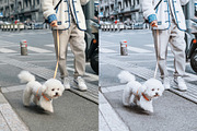 Luxury white lightroom preset pack, a Preset Add-On by Presets store (Thumbnail 3 of 11)