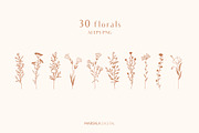 Floral Line Drawings Logo Elements, an Illustration by Kaya Fonts (Thumbnail 6 of 10)