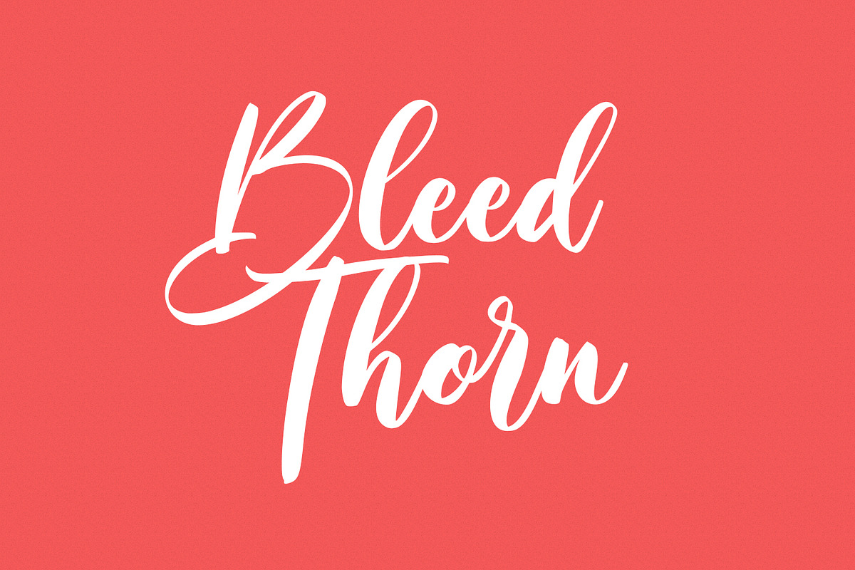 Shineshort Script Font, a Script Font by Maulana Creative (Photo 6 of 8)