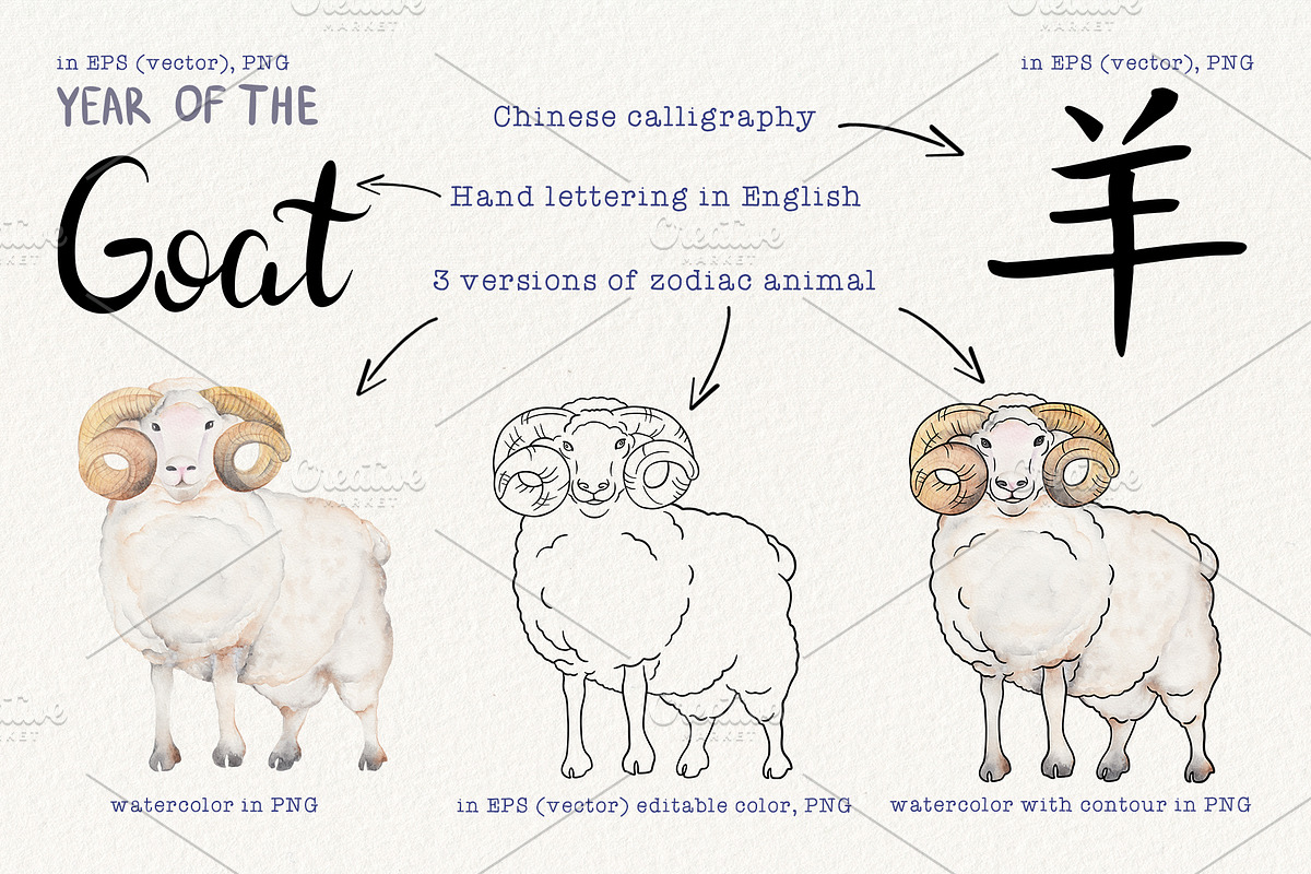 12 Chinese Zodiac Animals set, an Animal Illustration by Alena Solonshchikova (Photo 4 of 13)