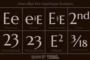 Marcellus Pro, a Serif Font by Stiggy & Sands (Thumbnail 8 of 9)