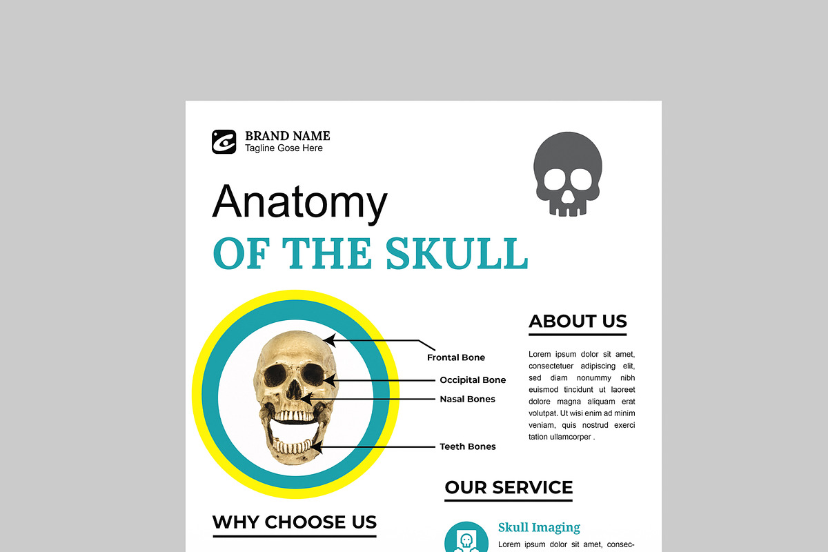 Skull Flyer Layout, a Flyer Template by MightyDesign (Photo 2 of 8)