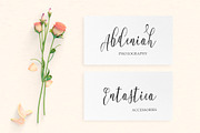Whitelya Script, a Script Font by Solidtype (Thumbnail 4 of 6)