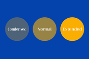 Terfens Contrast, a Sans Serif Font by insigne (Thumbnail 2 of 5)