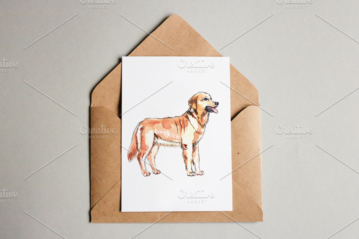 Watercolor vector domestic animals, an Animal Illustration by miminoshka (Photo 6 of 8)