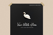 Letter of Berlin Classic Script Font, a Script Font by Myn Type (Thumbnail 5 of 14)