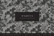 Biophilic Patterns Bundle, a Pattern Graphic by Curly_Pat (Thumbnail 1 of 13)