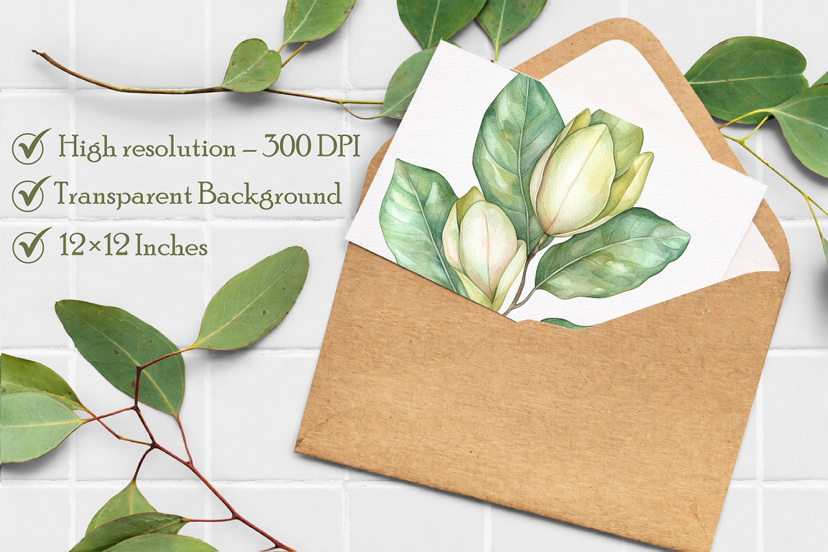 White Magnolia Watercolor Clipart, an Illustration by Libby Wishes (Photo 3 of 7)