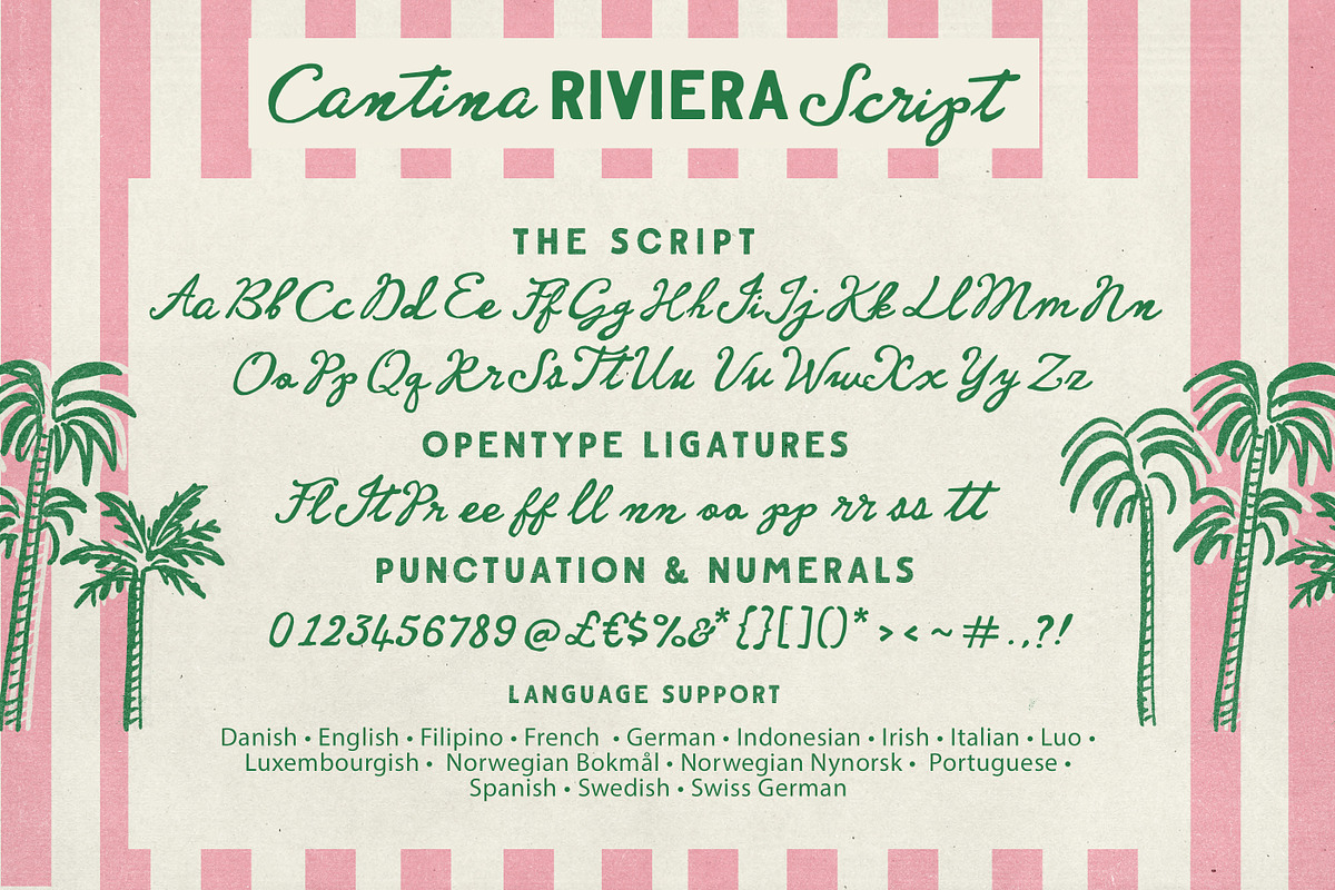 Cantina Riviera Font Duo, a Handwritten Font by Nicky Laatz (Photo 24 of 24)
