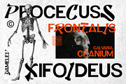 Corpus Font, a Font by Damelev (Thumbnail 3 of 8)