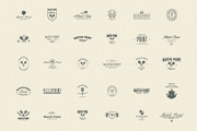 Tennis Core logos - CANVA, AI, PSD, a Branding & Logo Template by Orca Design (Thumbnail 13 of 13)