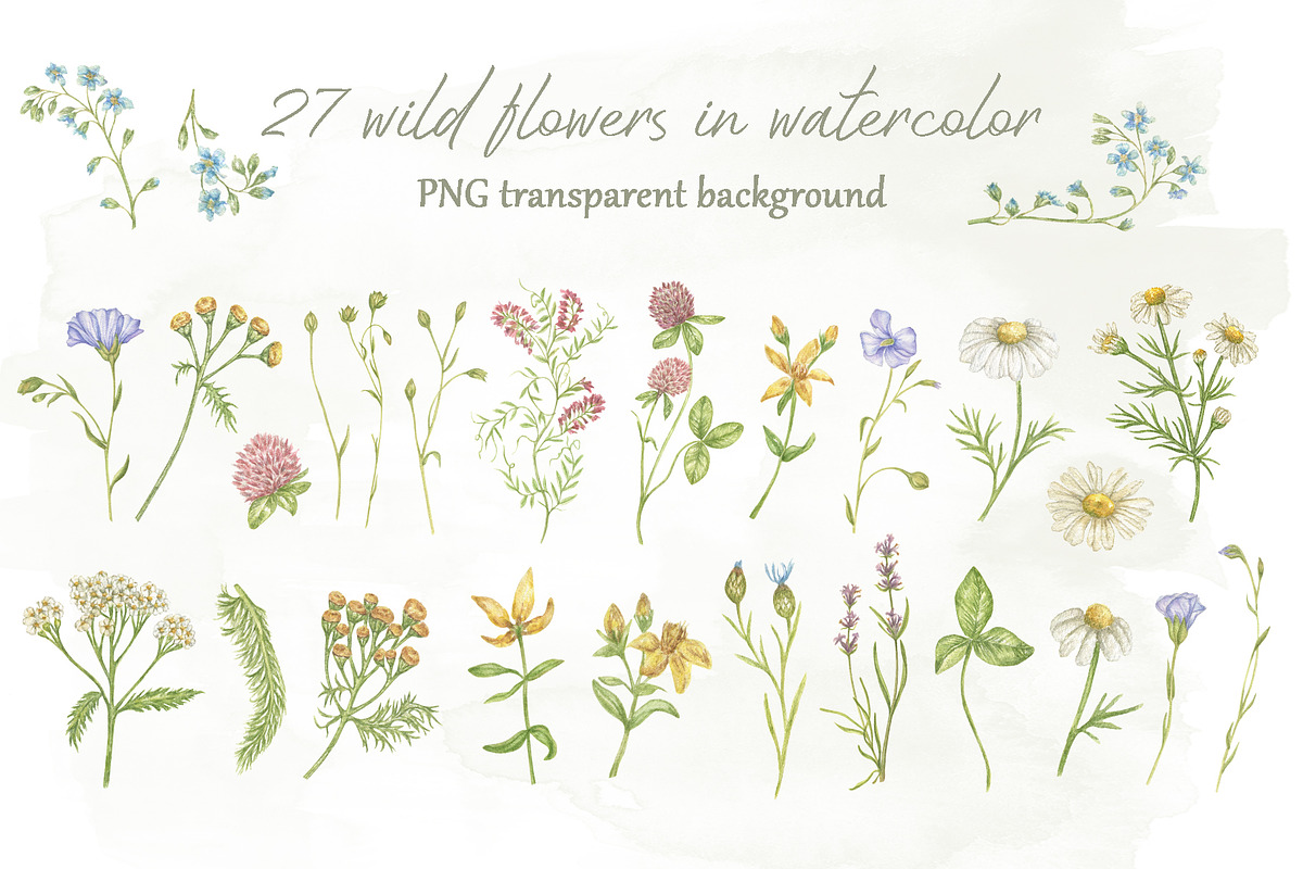 Little wild flower, a Decorative Illustration by Irina Avdeeva (Photo 2 of 9)