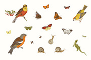 Happy Harvest, a Decorative Illustration by olga.korneeva (Thumbnail 5 of 21)