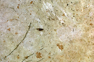 Grunge dirty surface, a Photo by saiko3p
