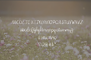 Chance Font, a Script Font by I'm Knot Tangled (Thumbnail 5 of 6)