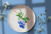 Blueberry, botanical illustration, a Food Illustration by Hanna Hryharenka (Thumbnail 7 of 9)