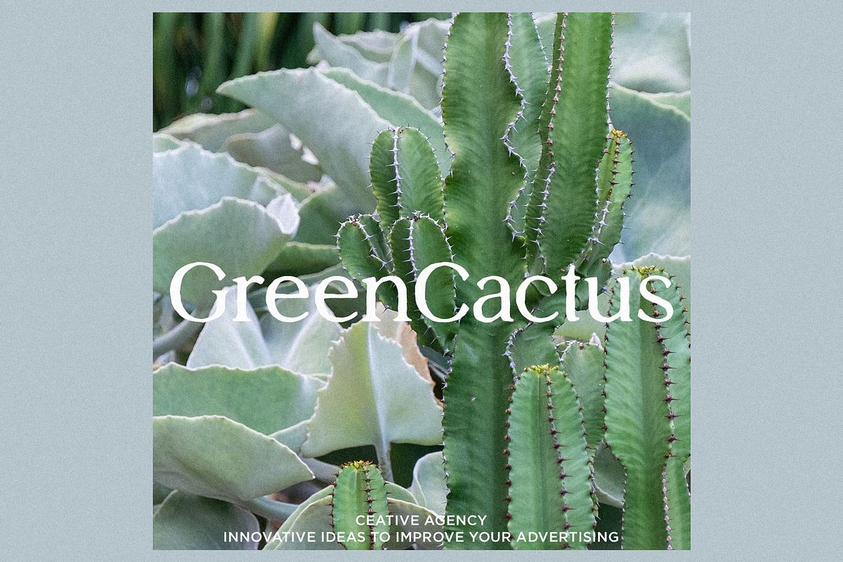 Bresta - Vintage & Elegant Serif, a Serif Font by Schrifted Type (Photo 6 of 8)