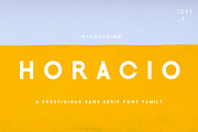 Horacio | A Prestigious Font Family, a Sans Serif Font by Zone 6 (Thumbnail 1 of 8)