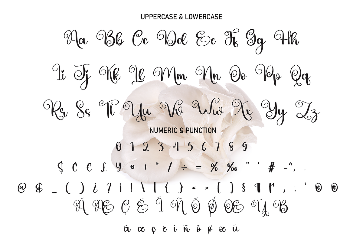 Mushroom | Script Font, a Script Font by Scratchones (Photo 3 of 8)