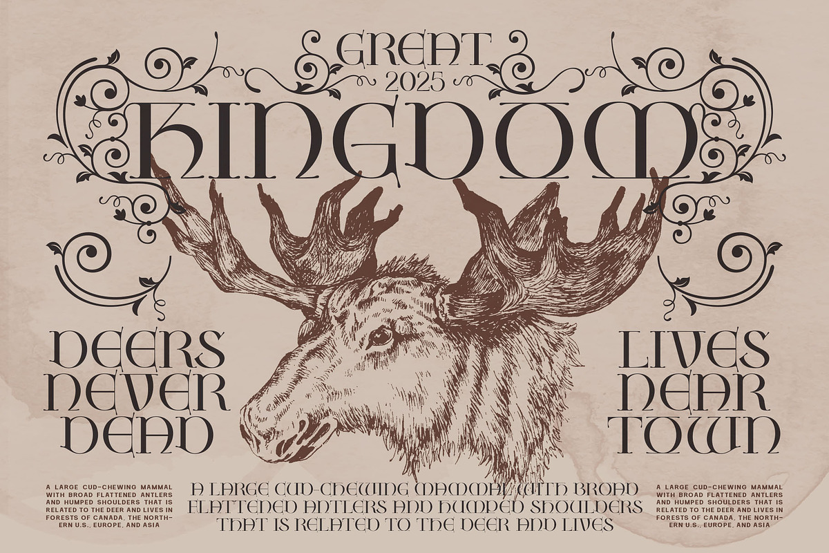Hermis Soul Typeface, a Serif Font by alit design (Photo 16 of 20)