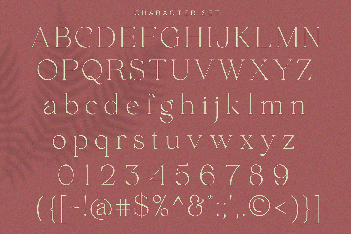 Envegas, a Serif Font by Sealoung (Photo 14 of 16)