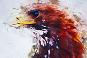 CreativeArt Photoshop Action, an Action Add-On by UnicDesign (Thumbnail 11 of 11)