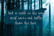 Wyldling Script, a Script Font by Beck McCormick (Thumbnail 5 of 10)