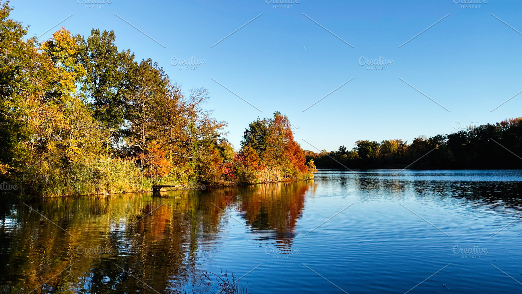 Autumn lake scene with colorful trees and clear reflections in Southern Illinoi, a Photo by AS photostudio