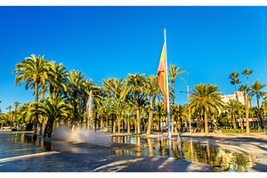 Palmeral of elche spain unesco heritage site featuring spain, elche, and palm, a Nature Photo by Leonid Andronov