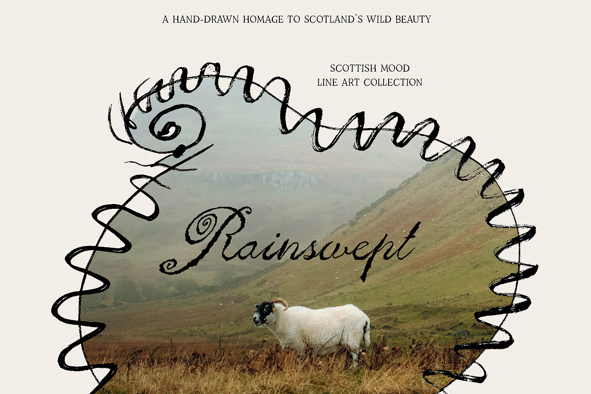 Rainswept Autumn Line Art Collection, an Object Illustration by Purple (Photo 6 of 15)