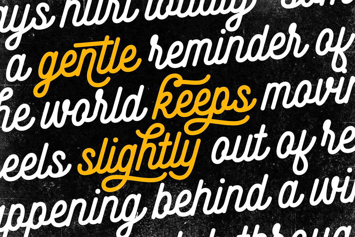Monoline Script - Shadenia, a Script Font by Novitype (Photo 8 of 13)