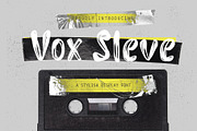 Vox Sleve A Stylish Display Font, a Handwritten Font by Tera Asset Garage (Thumbnail 1 of 6)