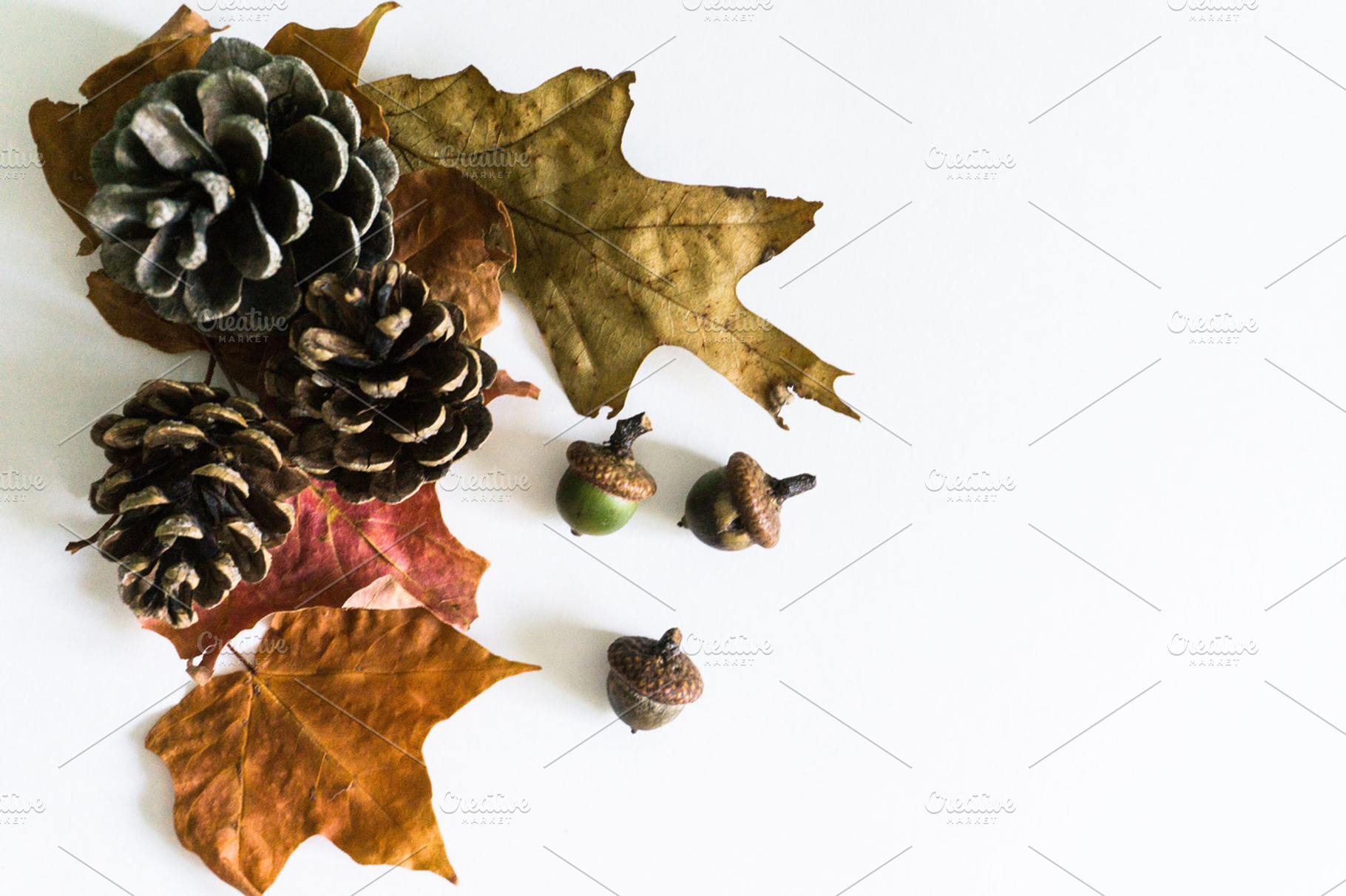 Autumn Styled Photo, a Photo by Britt Leah