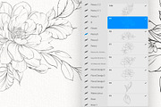 Procreate flower stamp, peony brush, a Brush Add-On by AnnaPolitmerskaja (Thumbnail 2 of 5)