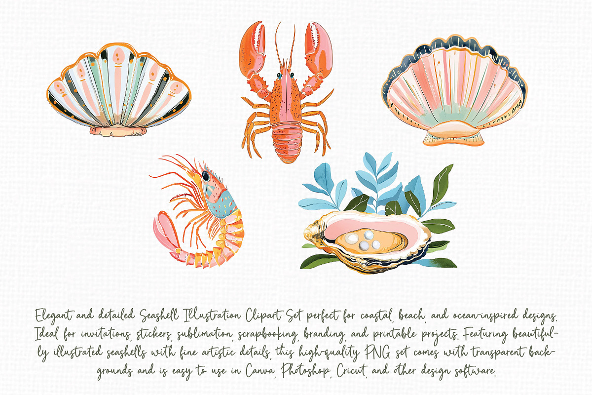 Seashell Illustration Clipart Set, an Illustration by Libby Wishes (Photo 7 of 8)