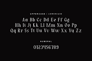 Nedogta - Modern Aesthetic Font, a Serif Font by QR Design Studio (Thumbnail 7 of 13)