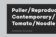 Grold, a Sans Serif Font by Typesketchbook Foundry (Thumbnail 4 of 6)