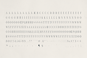 Elantrae – Elegant Modern Serif Font, a Serif Font by Only Fonts (Thumbnail 10 of 11)