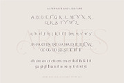 Arches Modern Serif Typeface, a Serif Font by Dylla_studio (Thumbnail 16 of 16)