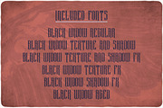 Black Widow Typeface, a Serif Font by VozzyStock (Thumbnail 6 of 6)