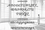 Delusoa - Minimalist Script, a Script Font by Qweera Studio (Thumbnail 11 of 12)